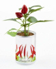 Plante "Piment"